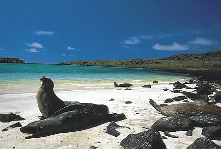 galapagos-islands